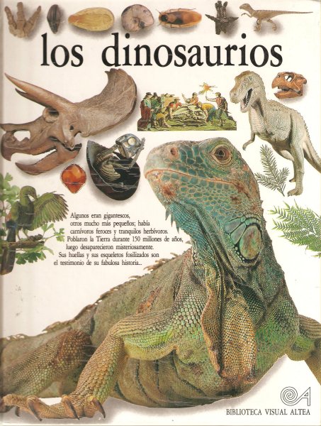 Ampliar esta imagen