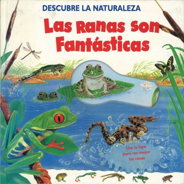 Ampliar esta imagen