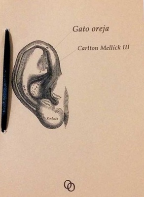 Ampliar esta imagen