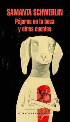 Ampliar esta imagen