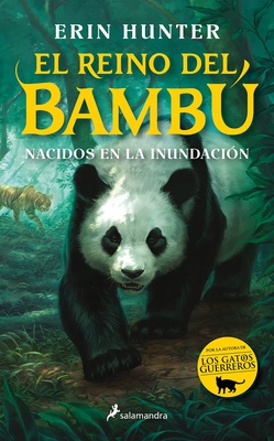 Ampliar esta imagen