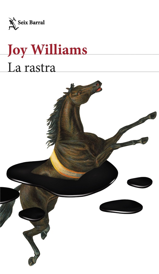 Ampliar esta imagen