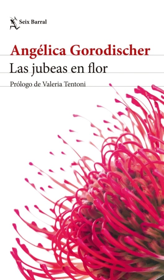Ampliar esta imagen