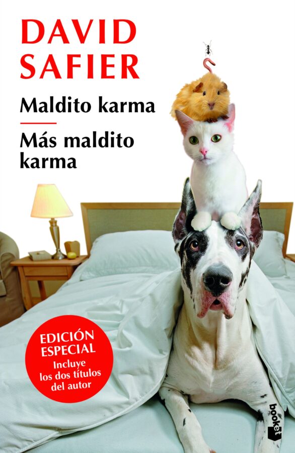 Ampliar esta imagen