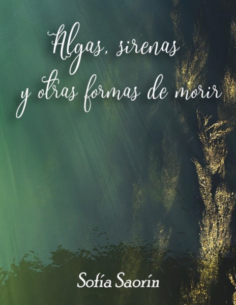 Ampliar esta imagen